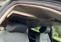 Ogrom szczęścia przy wypadku - zdjęcie główne