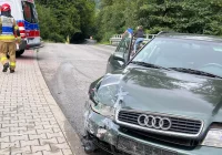 Kolizja mogła skończyć się tragedią, mandat dla sprawcy - zdjęcie główne