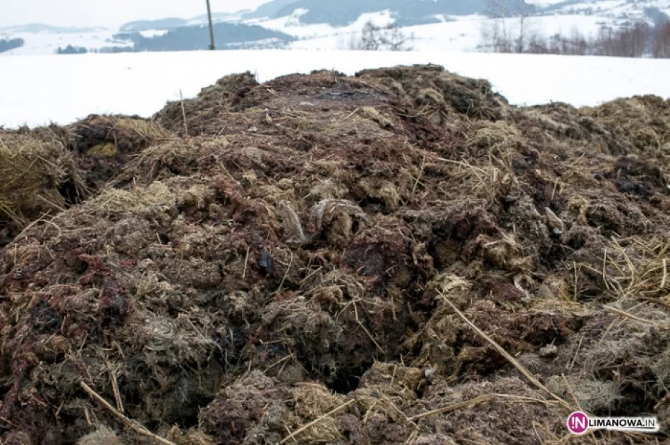 Kilka ton resztek z ubojni w polu - zdjęcie 2