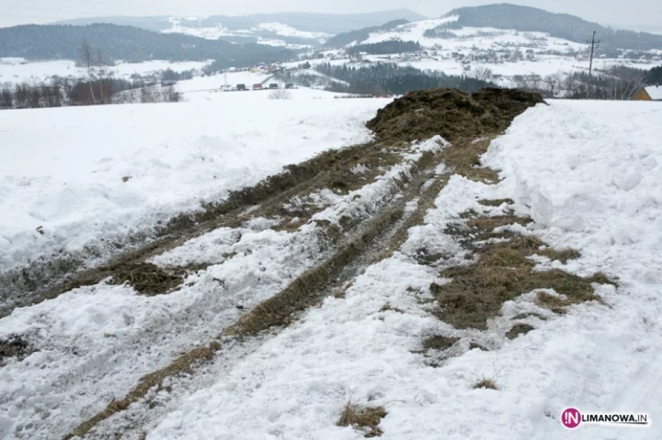 Kilka ton resztek z ubojni w polu - zdjęcie 3
