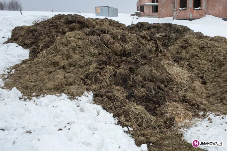 Kilka ton resztek z ubojni w polu - zdjęcie 4