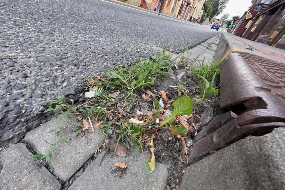 Zalewany Rynek w Limanowej, a na ulicy… zatkane wpusty - zdjęcie 2