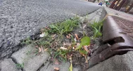 Zalewany Rynek w Limanowej, a na ulicy… zatkane wpusty - zdjęcie 2