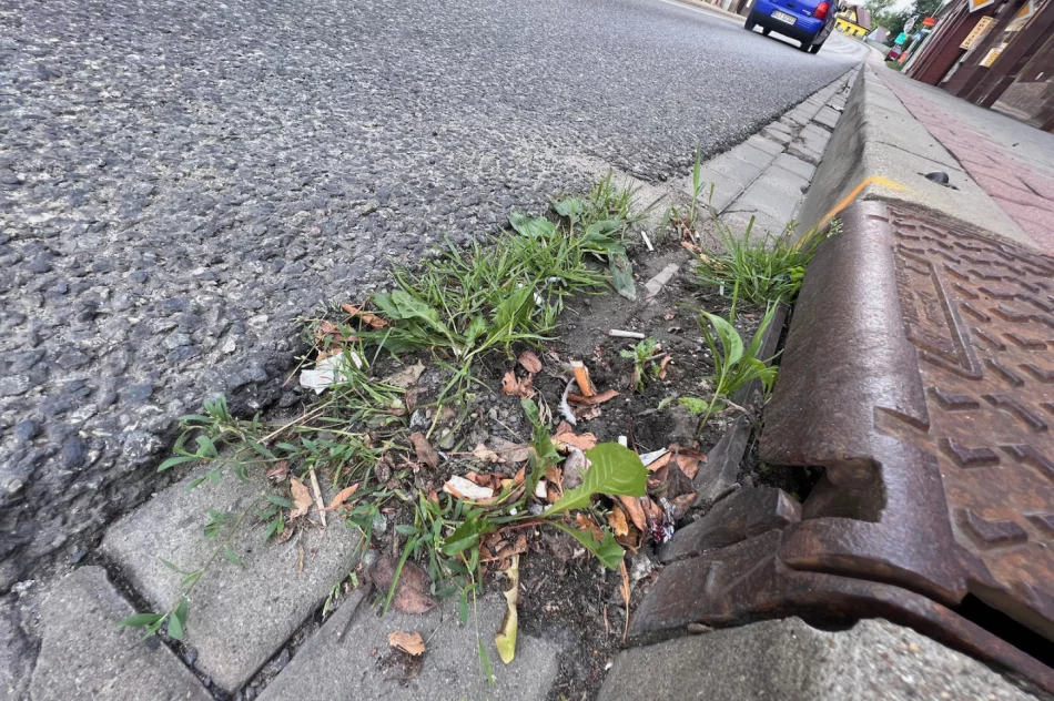 Zalewany Rynek w Limanowej, a na ulicy… zatkane wpusty - zdjęcie 3