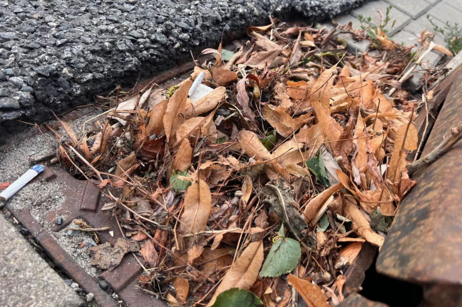 Zalewany Rynek w Limanowej, a na ulicy… zatkane wpusty - zdjęcie 6