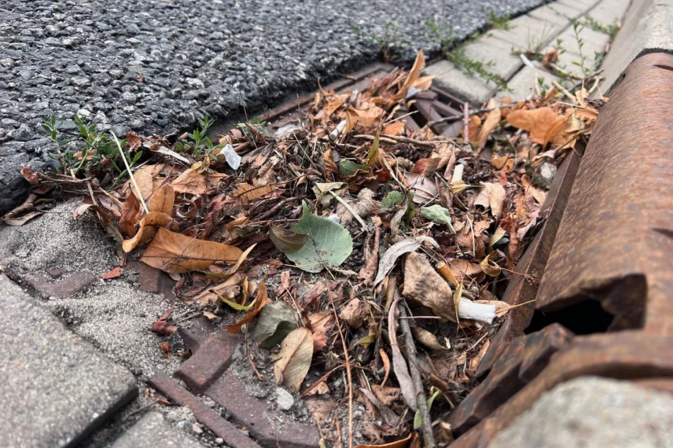 Zalewany Rynek w Limanowej, a na ulicy… zatkane wpusty - zdjęcie 8