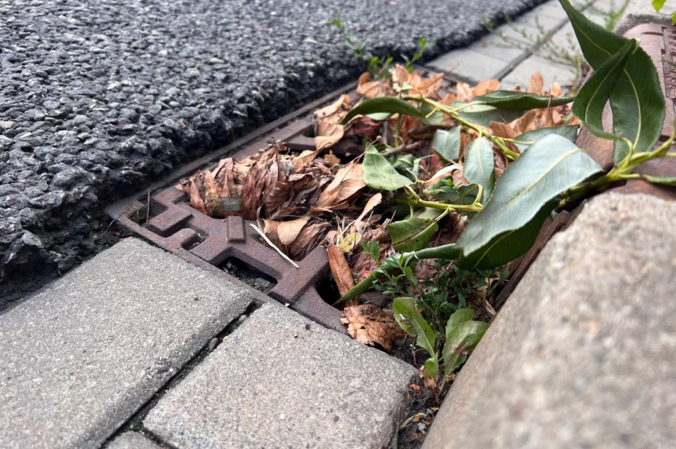 Zalewany Rynek w Limanowej, a na ulicy… zatkane wpusty - zdjęcie 9