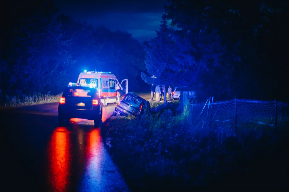 Samochód wypadł z jezdni. 19-latka pouczona - zdjęcie 2