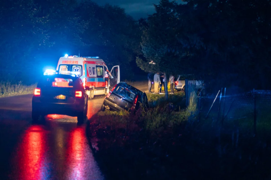 Samochód wypadł z jezdni. 19-latka pouczona - zdjęcie 3