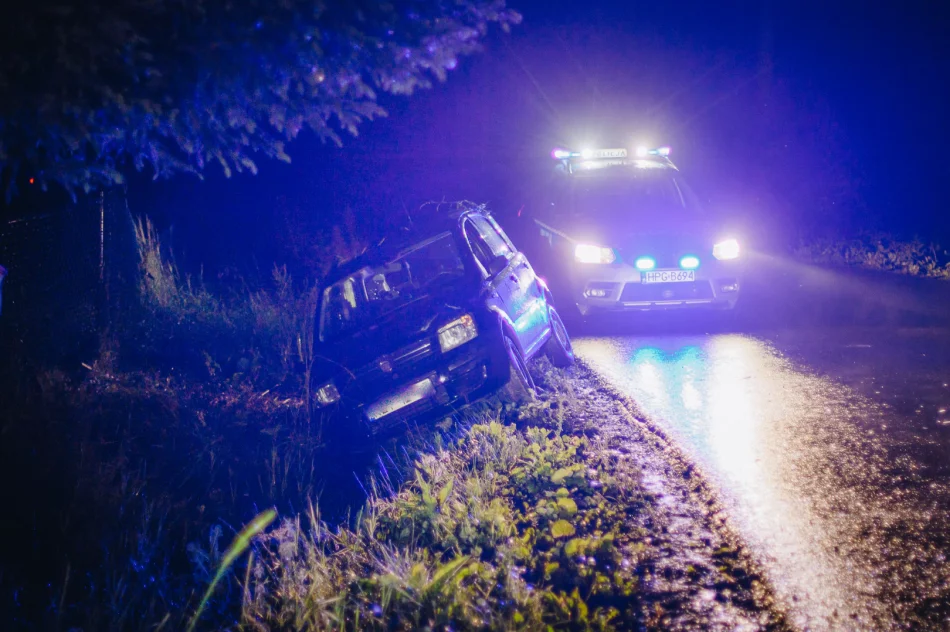 Samochód wypadł z jezdni. 19-latka pouczona - zdjęcie 5