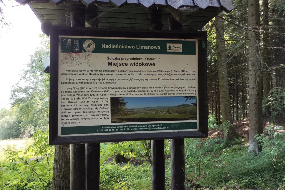 Limanowa Cup po raz ostatni. W przyszłym roku zawody pod nazwą Patria Cup. - zdjęcie 9