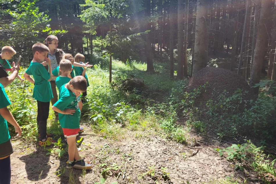 Limanowa Cup po raz ostatni. W przyszłym roku zawody pod nazwą Patria Cup. - zdjęcie 12