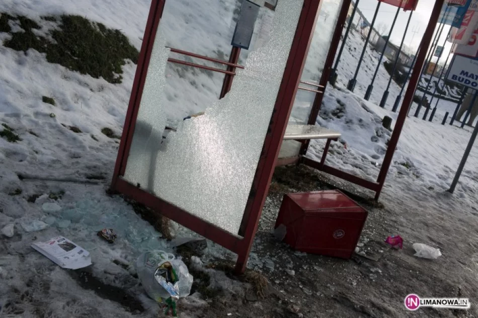 Wandali nikt nawet nie szuka - zdjęcie 2