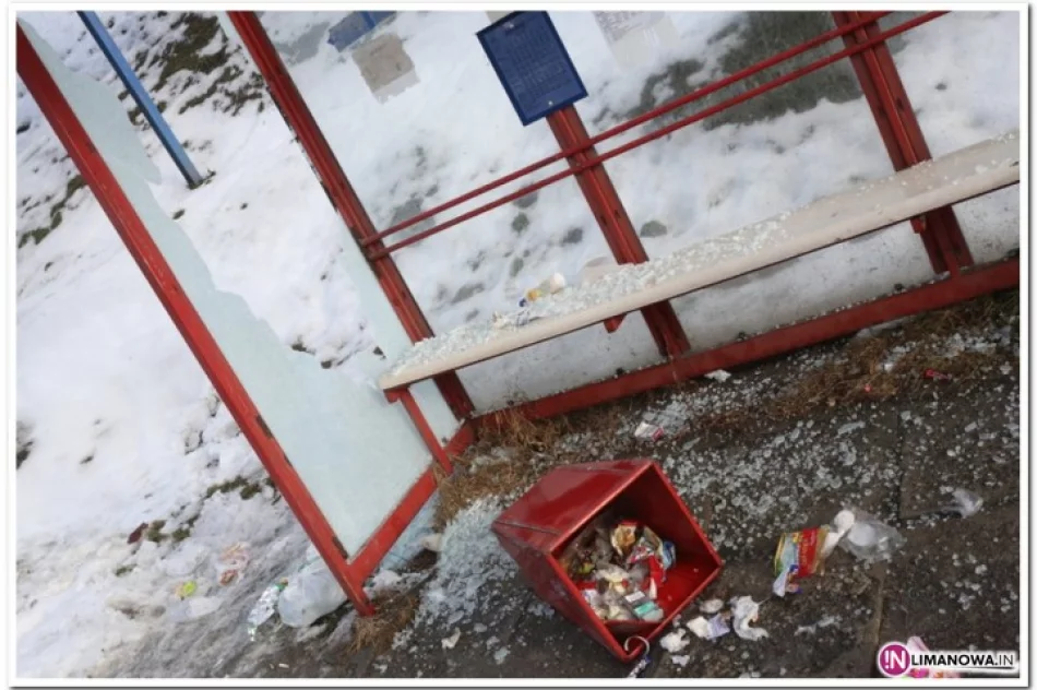 Wandali nikt nawet nie szuka - zdjęcie 3