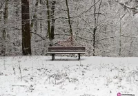 Czterech bezdomnych w regionie - zdjęcie główne