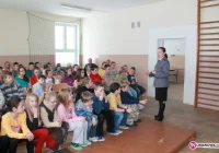 Akcja policji i ARiMR w Nowym Rybiu - zdjęcie główne