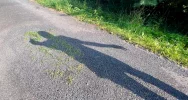 Zalepili dziury (nie wszystkie) i.. trawę - zdjęcie 2