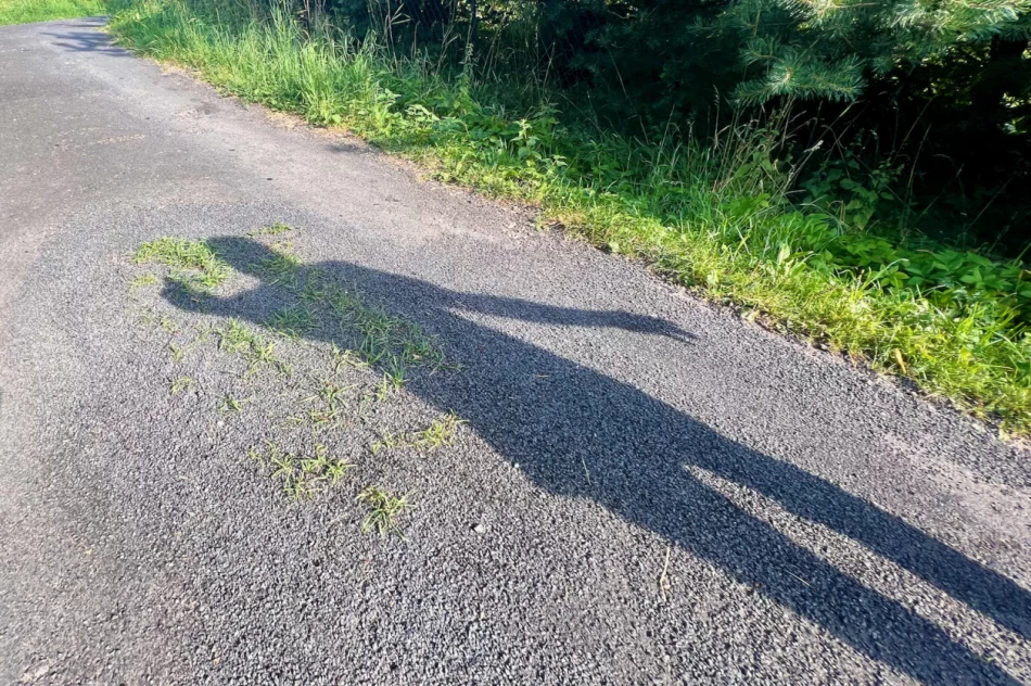 Zalepili dziury (nie wszystkie) i.. trawę - zdjęcie 2