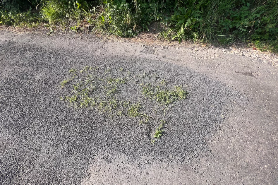 Zalepili dziury (nie wszystkie) i.. trawę - zdjęcie 3