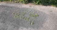 Zalepili dziury (nie wszystkie) i.. trawę - zdjęcie 3