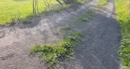 Zalepili dziury (nie wszystkie) i.. trawę - zdjęcie 5