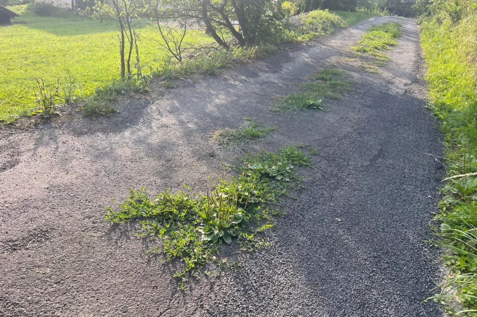 Zalepili dziury (nie wszystkie) i.. trawę - zdjęcie 5