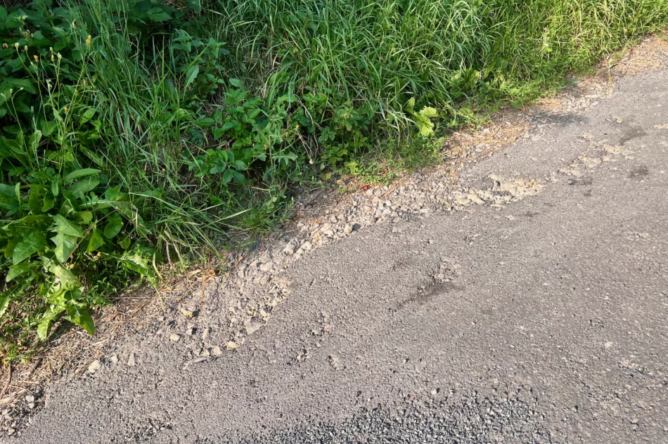 Zalepili dziury (nie wszystkie) i.. trawę - zdjęcie 6