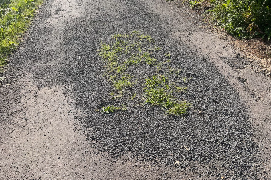 Zalepili dziury (nie wszystkie) i.. trawę - zdjęcie 7