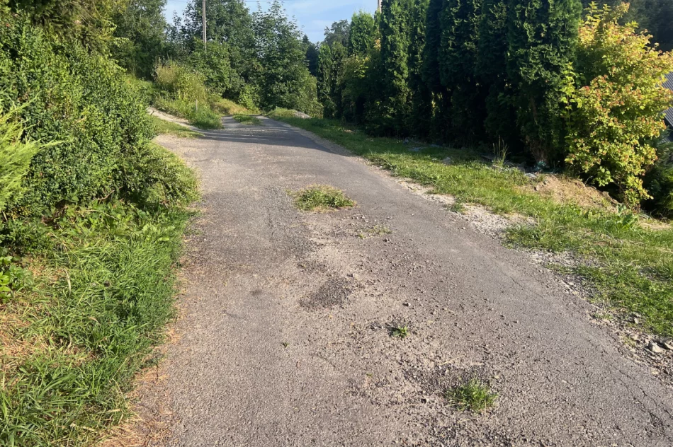 Zalepili dziury (nie wszystkie) i.. trawę - zdjęcie 8