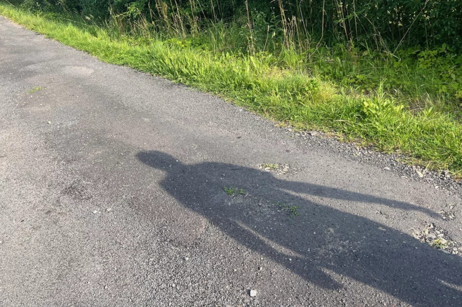 Zalepili dziury (nie wszystkie) i.. trawę - zdjęcie 9