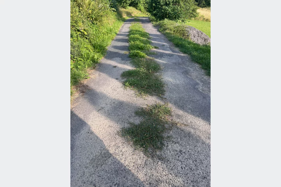 Zalepili dziury (nie wszystkie) i.. trawę - zdjęcie 10