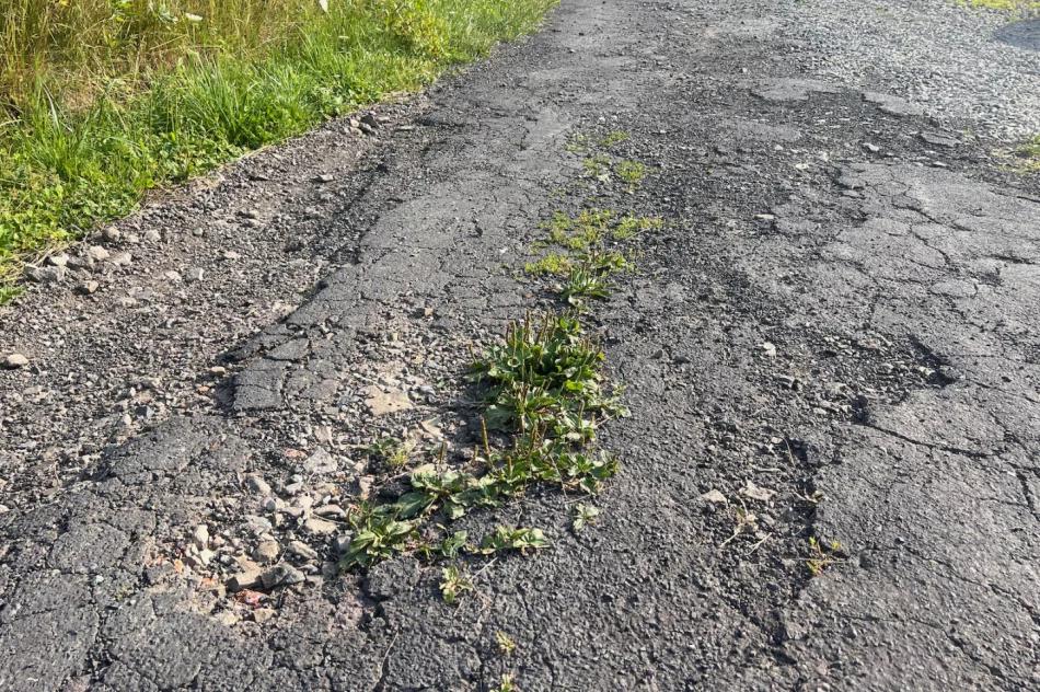 Zalepili dziury (nie wszystkie) i.. trawę - zdjęcie 11