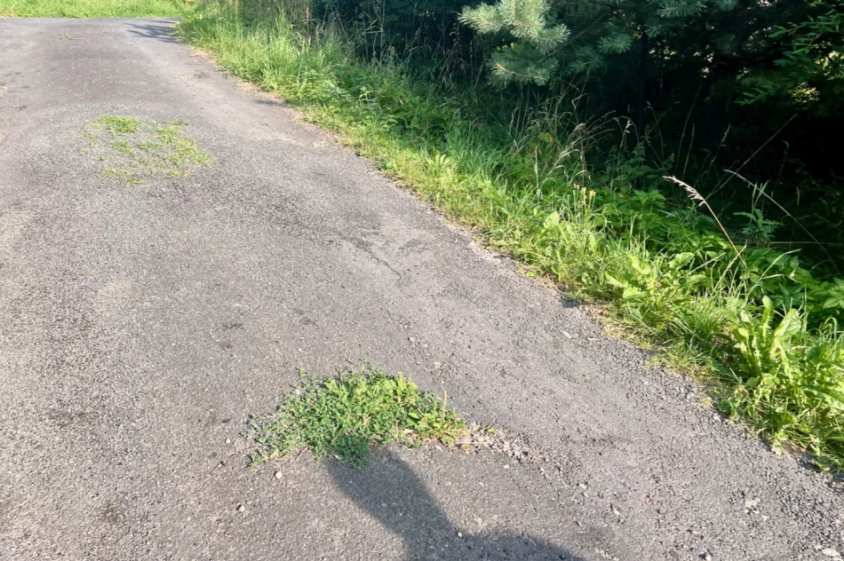 Zalepili dziury (nie wszystkie) i.. trawę - zdjęcie 12