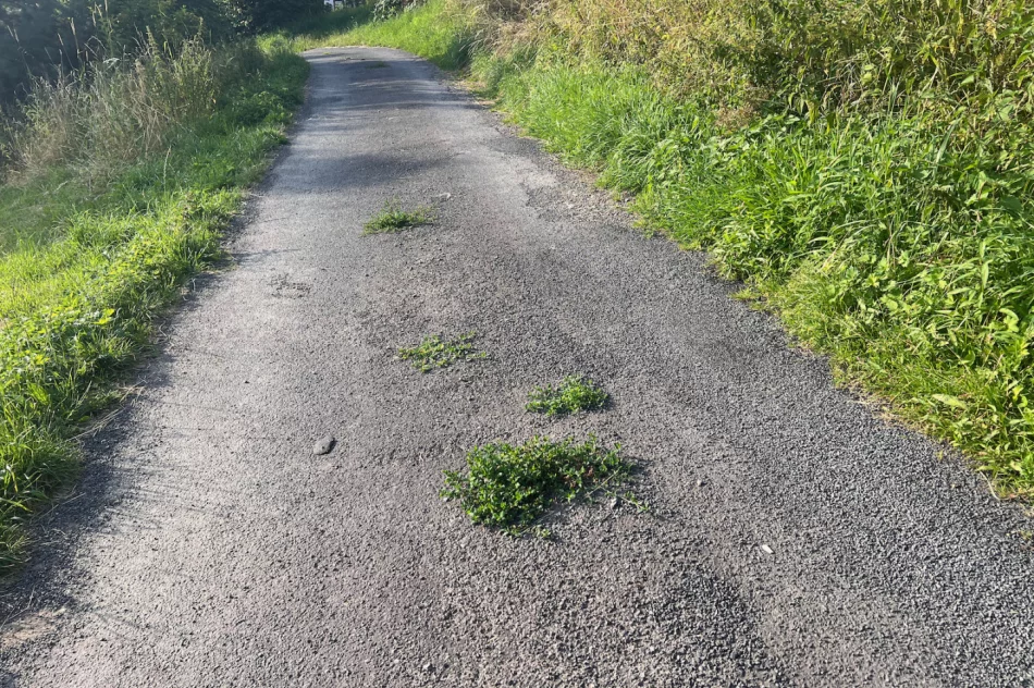 Zalepili dziury (nie wszystkie) i.. trawę - zdjęcie 13