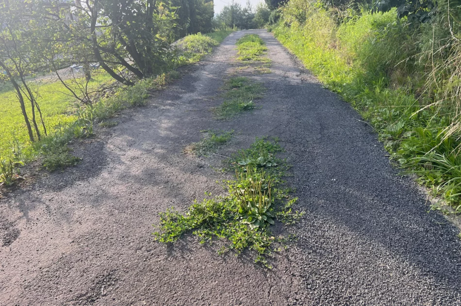 Zalepili dziury (nie wszystkie) i.. trawę - zdjęcie 16