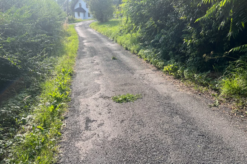 Zalepili dziury (nie wszystkie) i.. trawę - zdjęcie 18