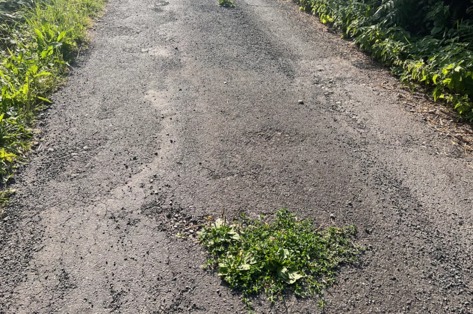 Zalepili dziury (nie wszystkie) i.. trawę - zdjęcie 19