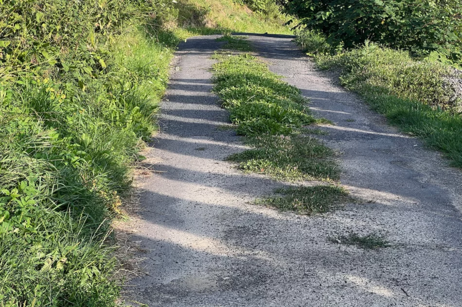 Zalepili dziury (nie wszystkie) i.. trawę - zdjęcie 20