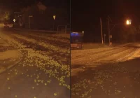 Rozsypane jabłka na ulicy w Limanowej - zdjęcie główne