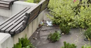 Centrum Limanowej po weekendzie - wysypisko - zdjęcie 5