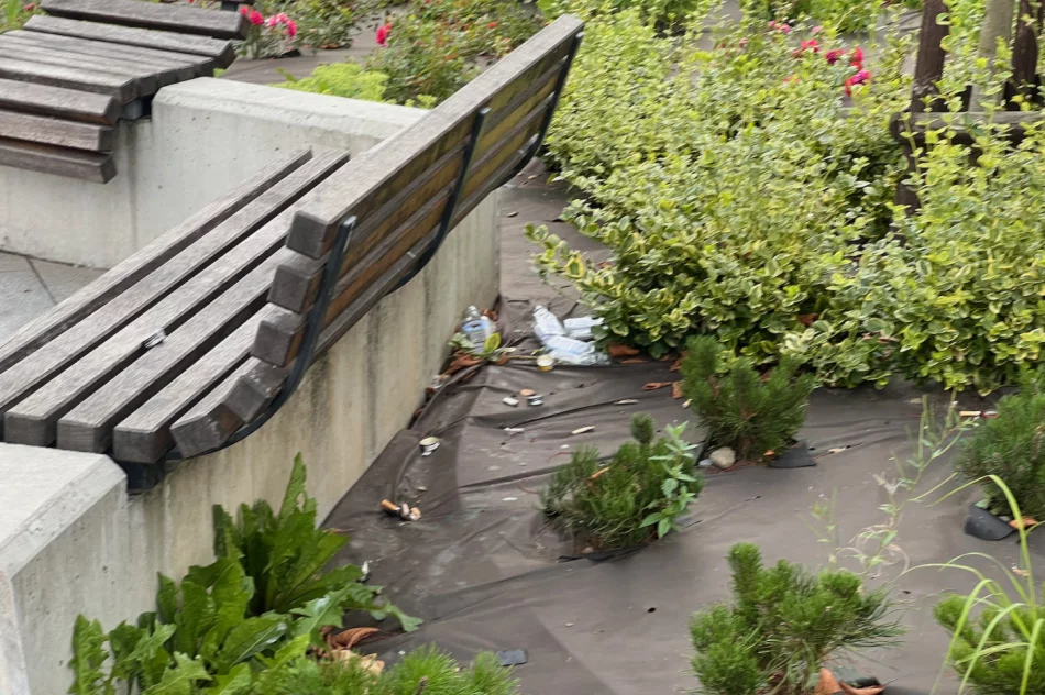 Centrum Limanowej po weekendzie - wysypisko - zdjęcie 5