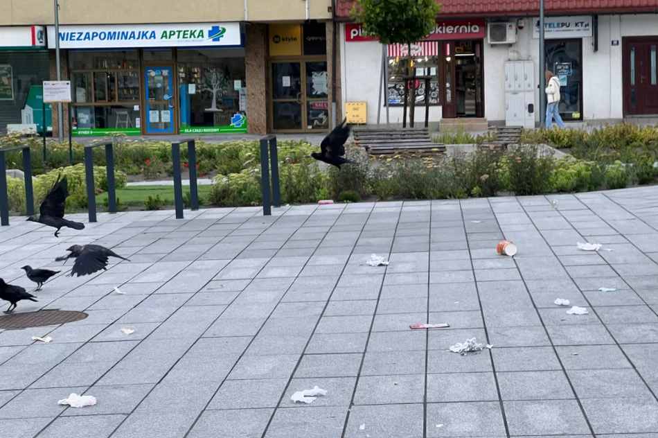 Centrum Limanowej po weekendzie - wysypisko - zdjęcie 11