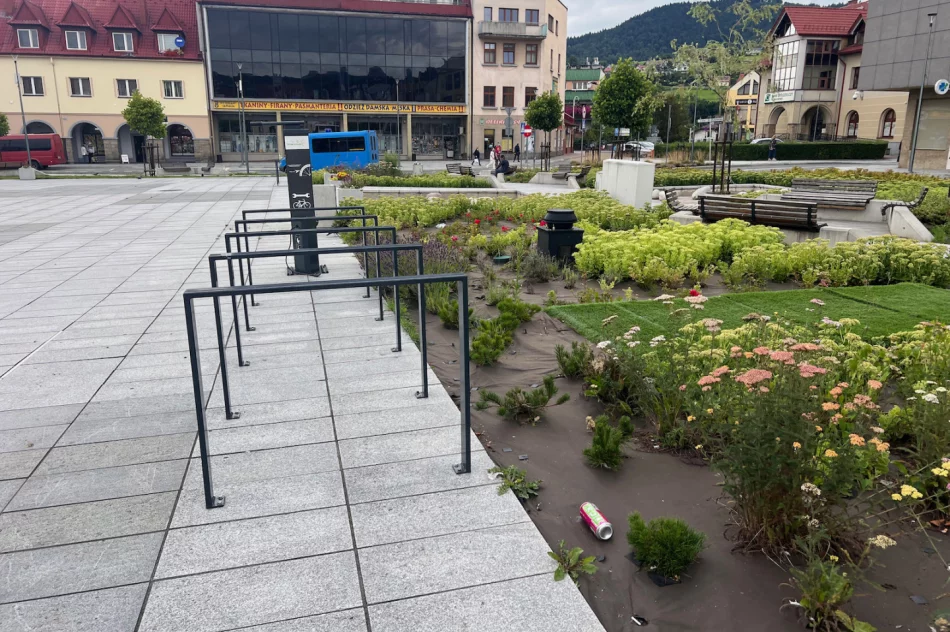 Centrum Limanowej po weekendzie - wysypisko - zdjęcie 13