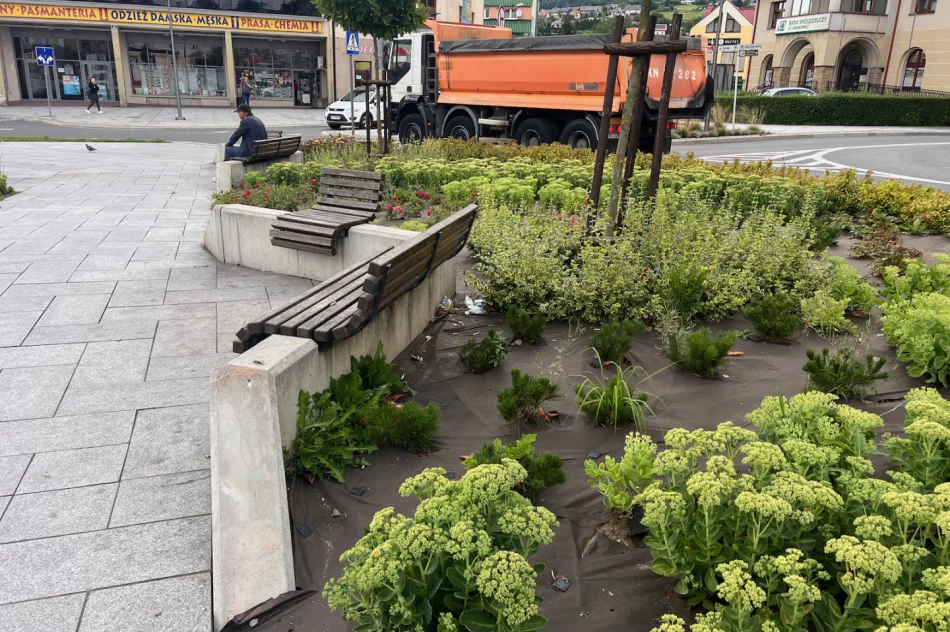 Centrum Limanowej po weekendzie - wysypisko - zdjęcie 15