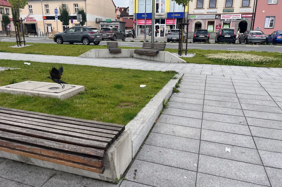 Centrum Limanowej po weekendzie - wysypisko - zdjęcie 16