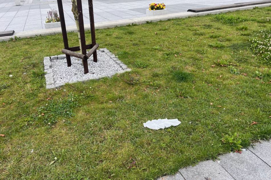 Centrum Limanowej po weekendzie - wysypisko - zdjęcie 17