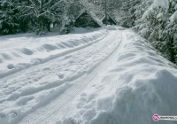 Wybiórcze traktowanie, czy normalna praktyka? - zdjęcie główne