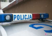 Leżał na drodze. Najechał na niego samochód - zdjęcie główne