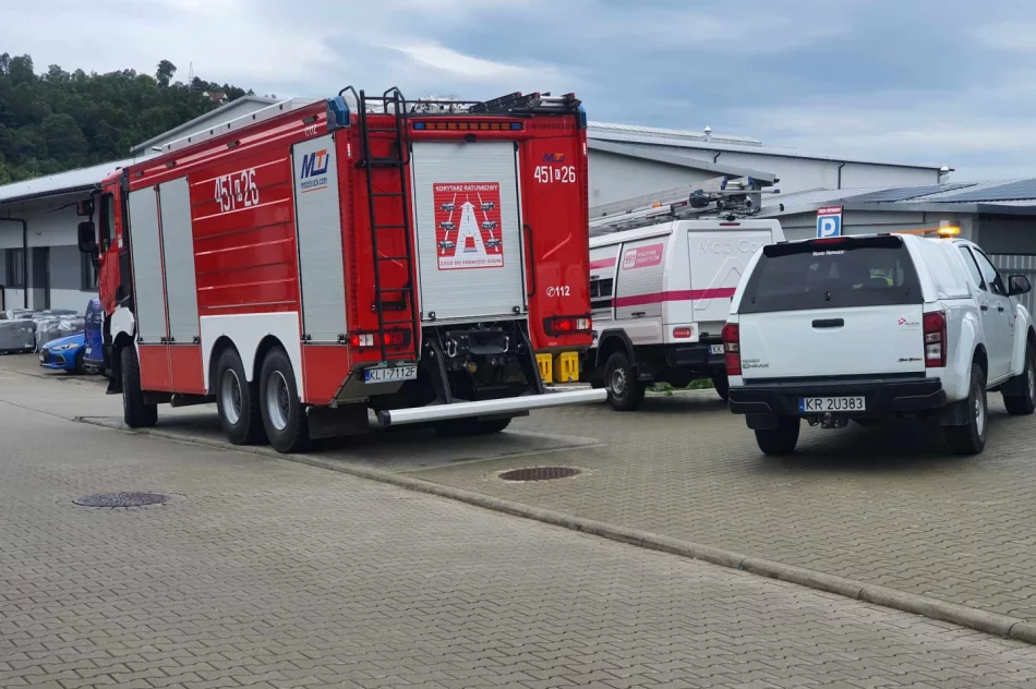 Awaria stacji trafo. Centrum handlowe było bez prądu - zdjęcie 2