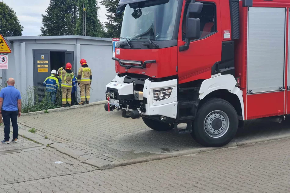 Awaria stacji trafo. Centrum handlowe było bez prądu - zdjęcie 6